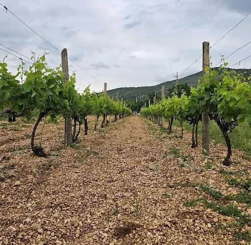 Becca , Heated Pool With Salt Water 度假居