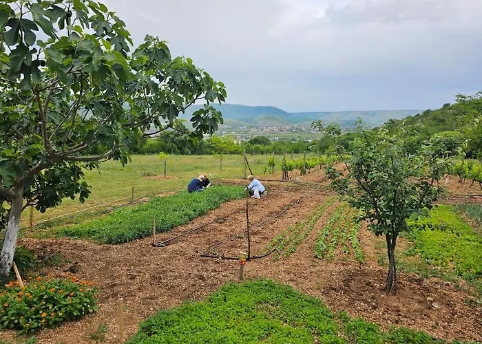 Becca , Heated Pool With Salt Water 度假居 *