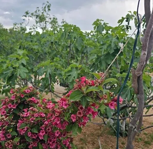 度假居 Becca , Heated Pool With Salt Water *