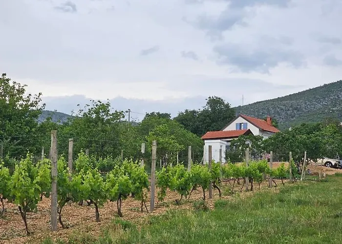 Becca , Heated Pool With Salt Water 度假居 Dracevice