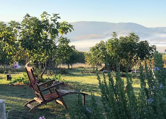 Becca , Heated Pool With Salt Water Dracevice
